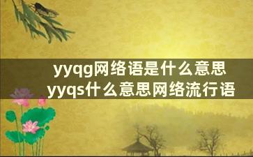 yyqg网络语是什么意思 yyqs什么意思网络流行语